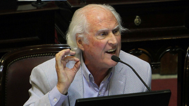 imagen "Pino" Solanas: "Las campañas del Gobierno crearon un humor antiindígena"