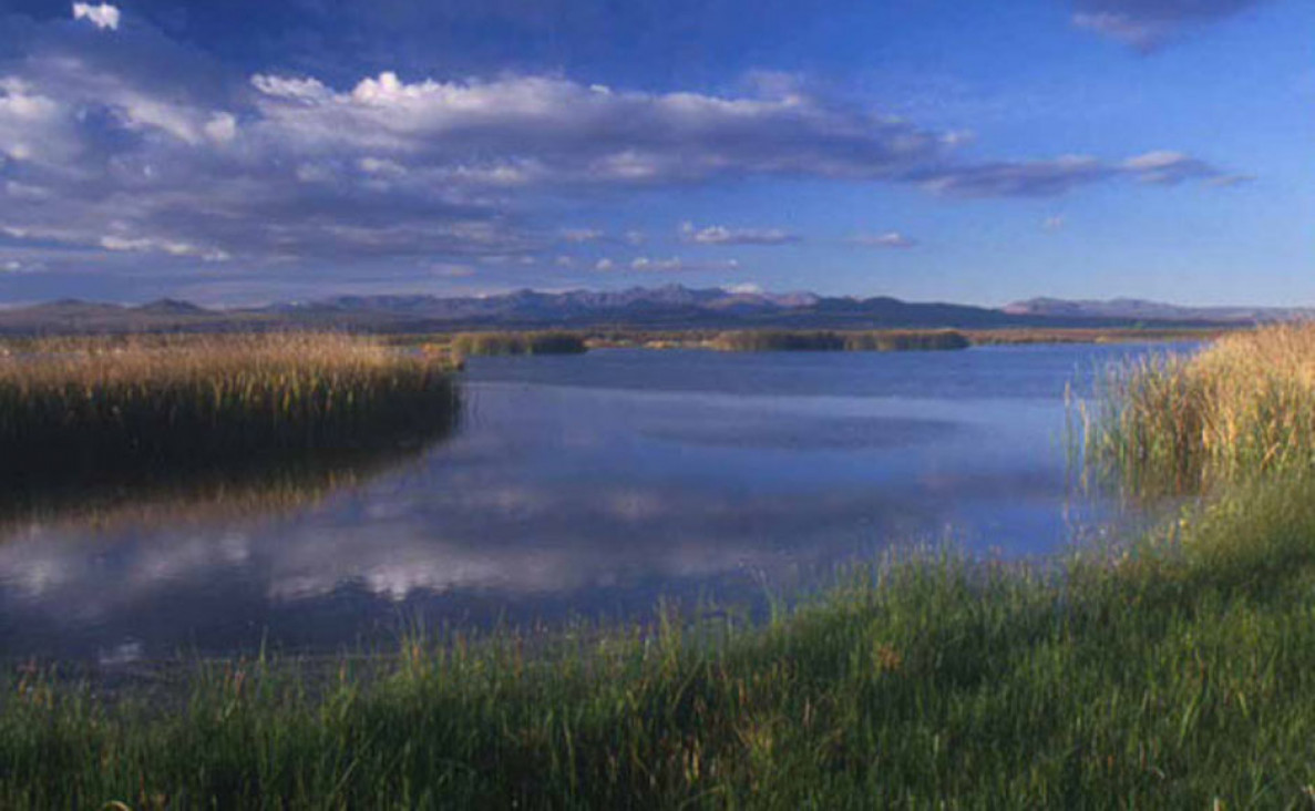 imagen Llancanelo bajo la lupa
