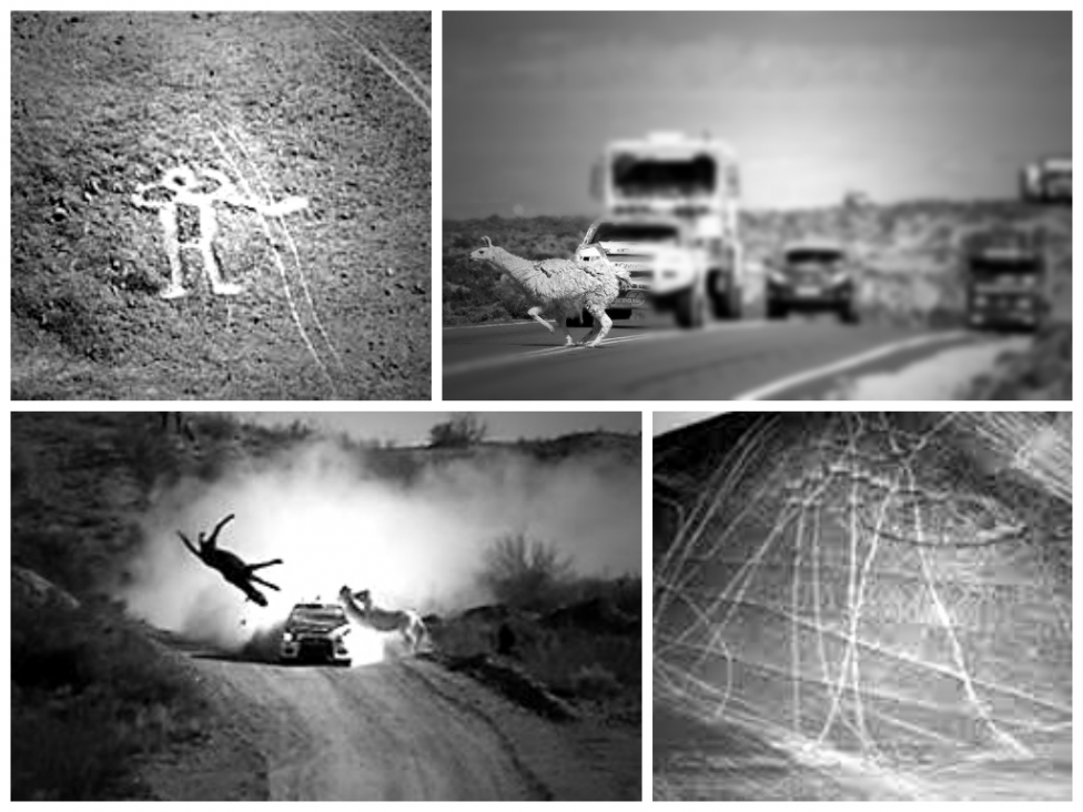 imagen Rally Dakar versus medio ambiente