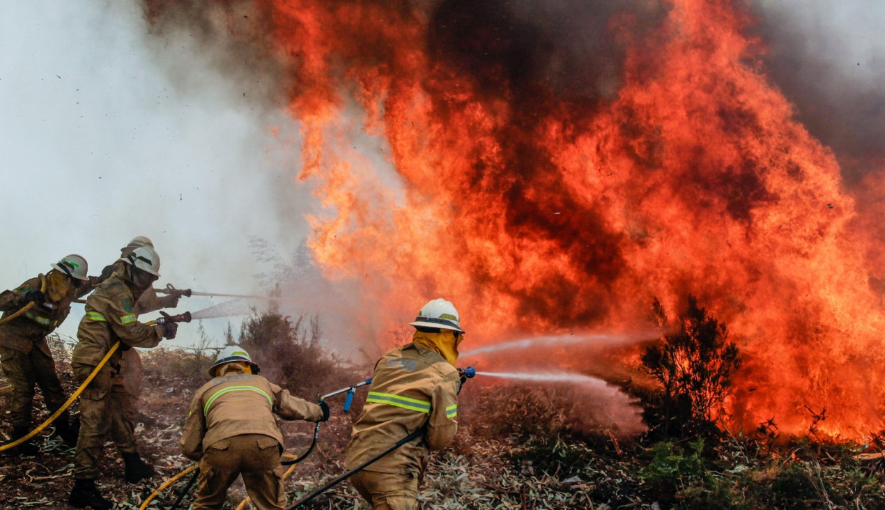 imagen Portugal: lograron controlar el último foco del incendio