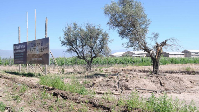 imagen En marzo, las comunas deberán tener su plan de ordenamiento territorial