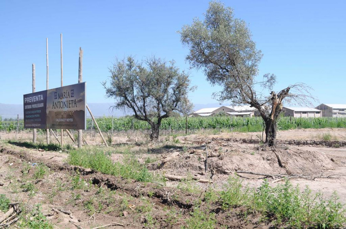 imagen En marzo, las comunas deberán tener su plan de ordenamiento territorial