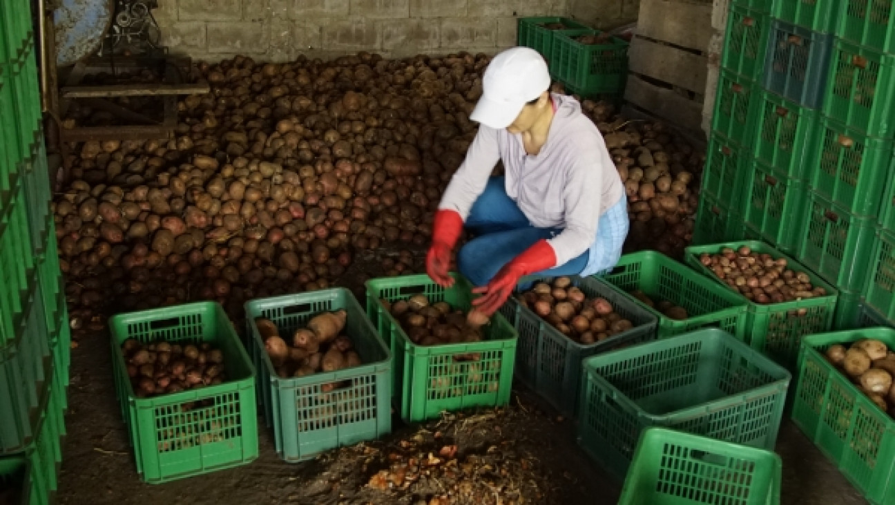 imagen Organizaciones rechazan la baja del Monotributo Social Agropecuario