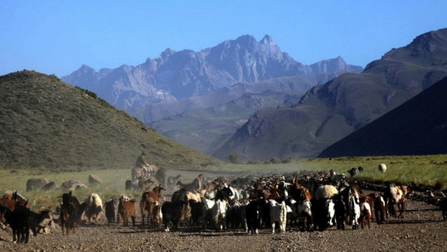 imagen Mapuches o mapuches autopercibidos: el debate de su historia en Mendoza y los conflictos por la posesión de tierras