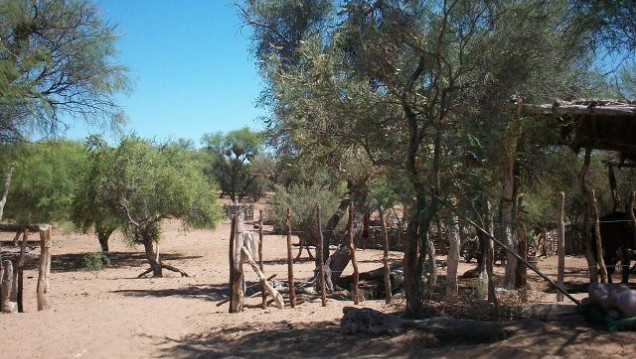 imagen Agüita para el desierto -Segunda Parte 