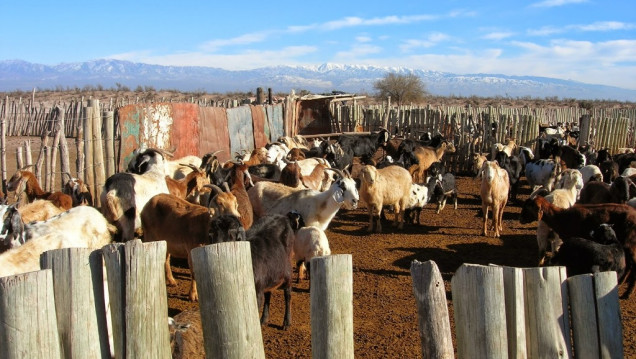 imagen Hay que "desordenar" la lógica territorial para potenciar el suelo 