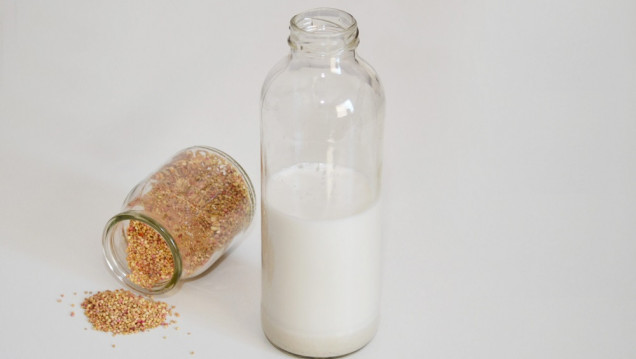 imagen Crearon una bebida fermentada de quinua que posee un alto valor nutricional