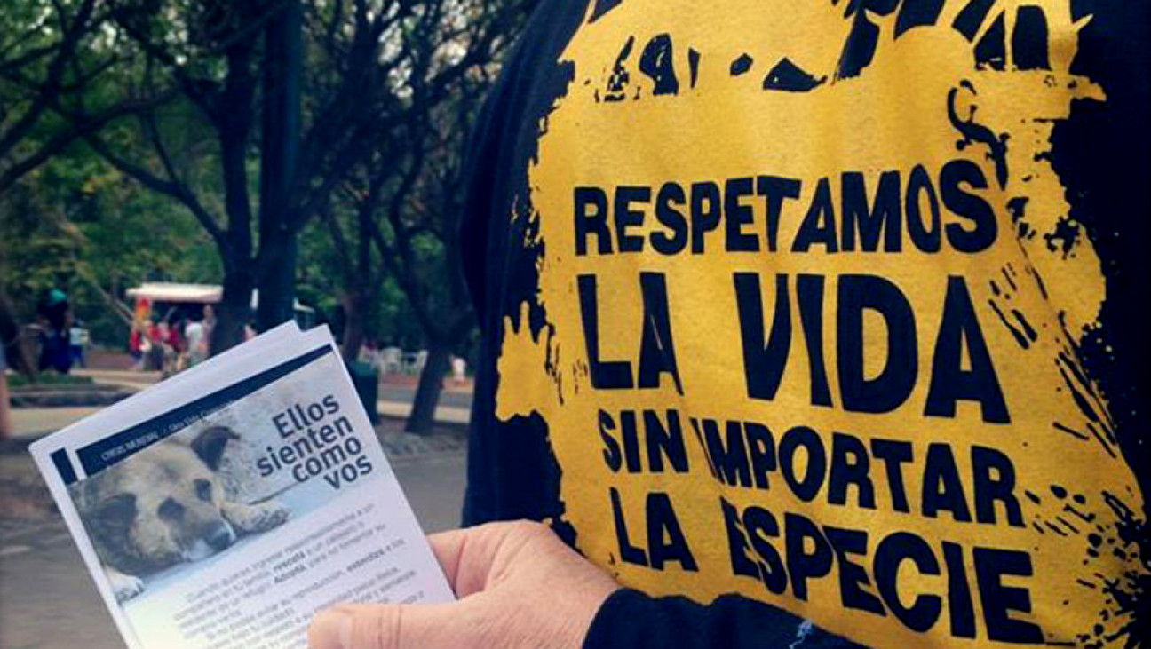 imagen Los derechos animales tienen su día