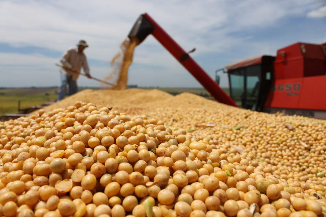 imagen Advierten que el aumento del gasoil llegará a las góndolas 