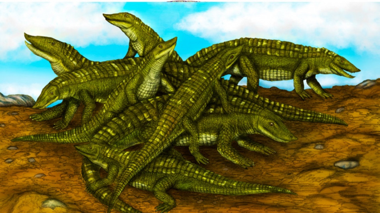 imagen Identifican en Alemania una guardería de reptiles bebés extintos hace cerca de 215 millones de años