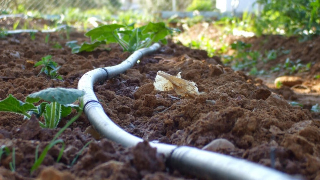 imagen Seguí en vivo la Jornada Internacional de Riego y Uso de Agua con fines productivos