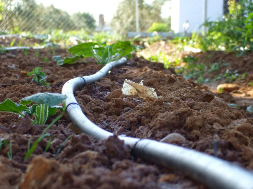 imagen Seguí en vivo la Jornada Internacional de Riego y Uso de Agua con fines productivos