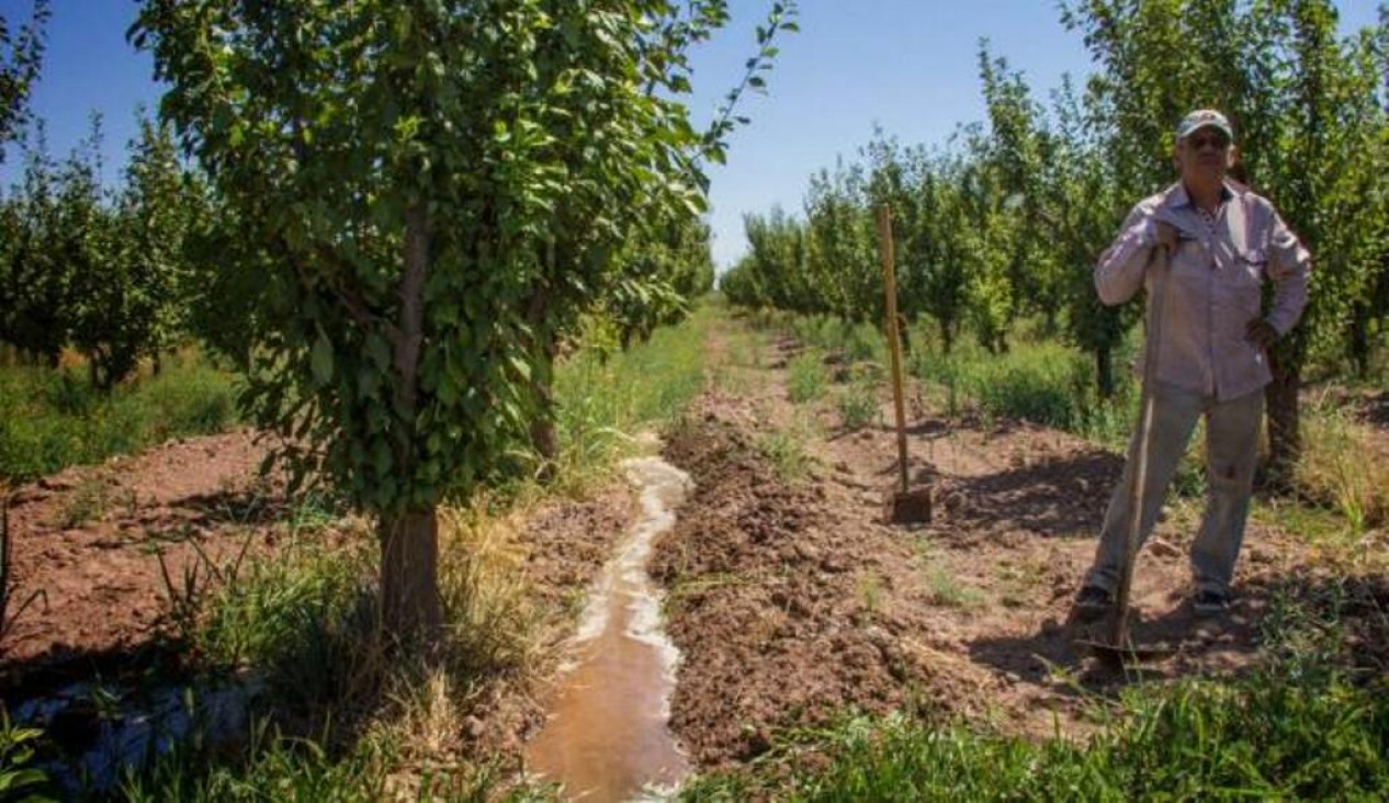 imagen Irrigación: "No se puede cuadruplicar la zona irrigada en la provincia"