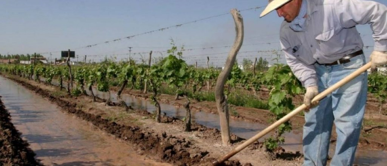 imagen Financiamiento internacional para Irrigación: más de $600 millones en obras