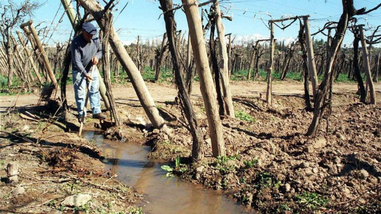 imagen Buscan financiar con 500 millones de pesos el uso eficiente del agua de riego