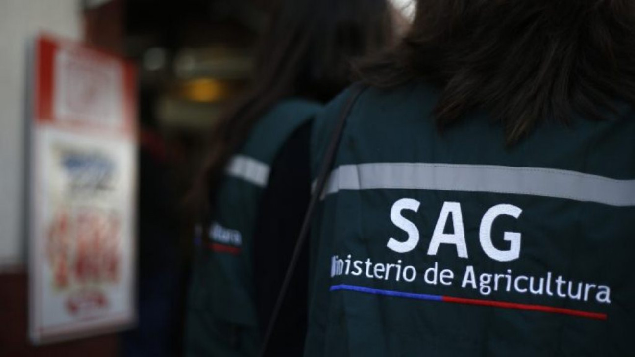 imagen Peligra el Paso a Chile por un paro de trabajadores trasandinos