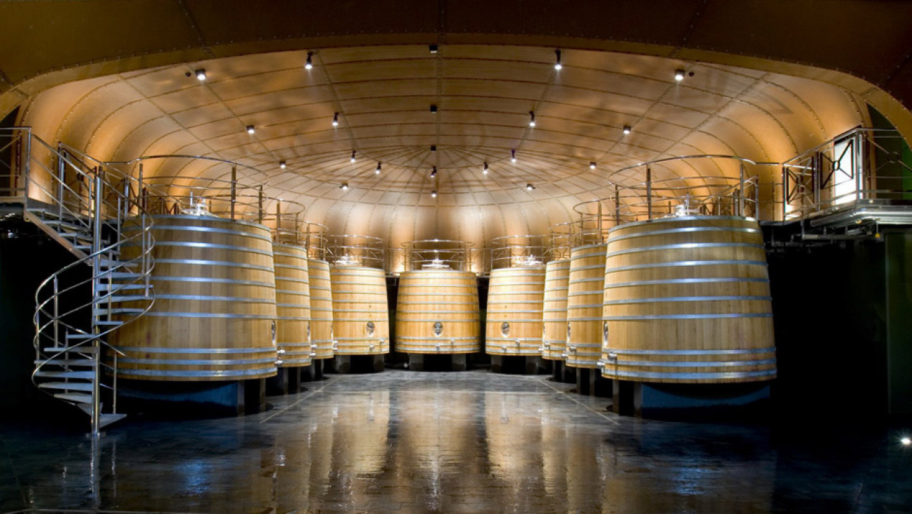 imagen Con el espíritu del vino y su cultura
