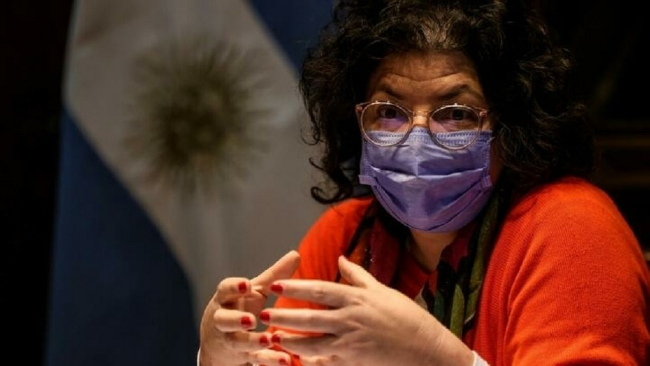 imagen Vizzotti dijo que es fundamental tener "una especie de Ley Micaela de salud mental"