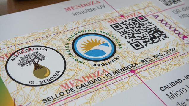imagen El aceite de oliva extra virgen de Mendoza sigue haciendo historia