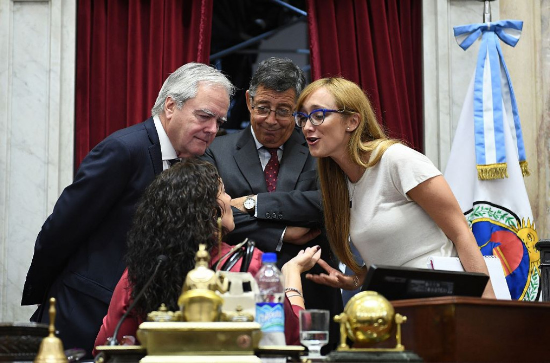 imagen El Senado eligió a sus autoridades y ratificó a Pinedo como presidente provisional
