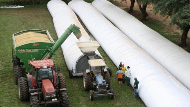 imagen Silobolsas, el "invento argentino" que también se utiliza en Mendoza
