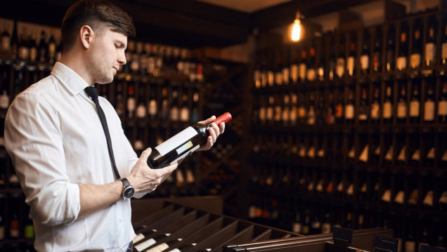 imagen Mejor sommelier de la Argentina: 40 especialistas en vinos buscan el cetro en Mendoza