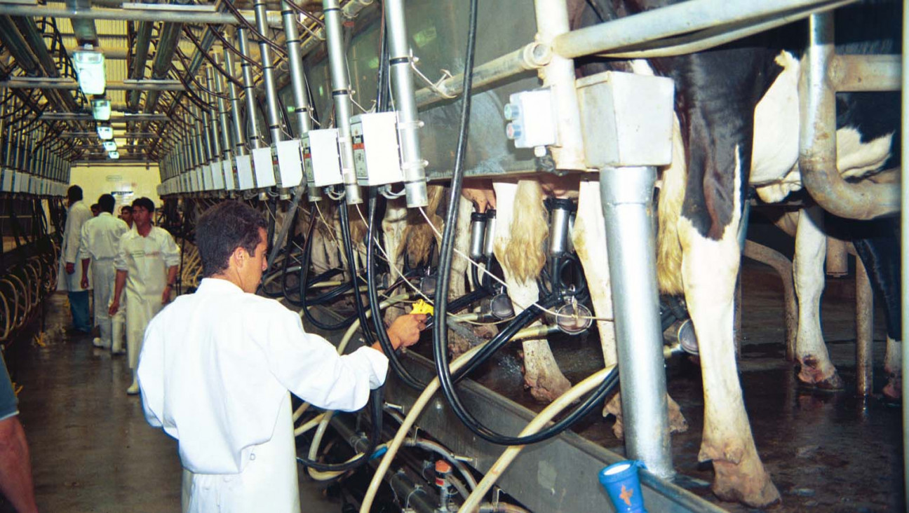 imagen Otorgan compensaciones económicas por $ 84 millones a productores tamberos