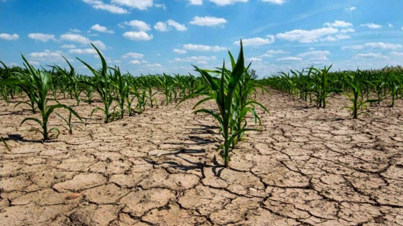 imagen Lanzan un relevamiento de buenas prácticas para el manejo sostenible de tierras