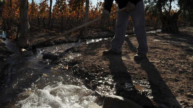 imagen Temen presencia de agrotóxicos en los cauces mendocinos
