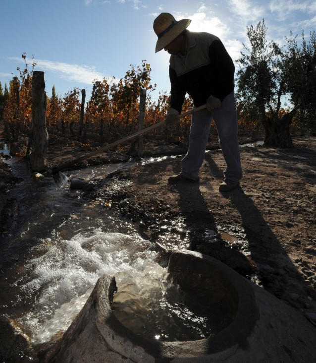 imagen Temen presencia de agrotóxicos en los cauces mendocinos