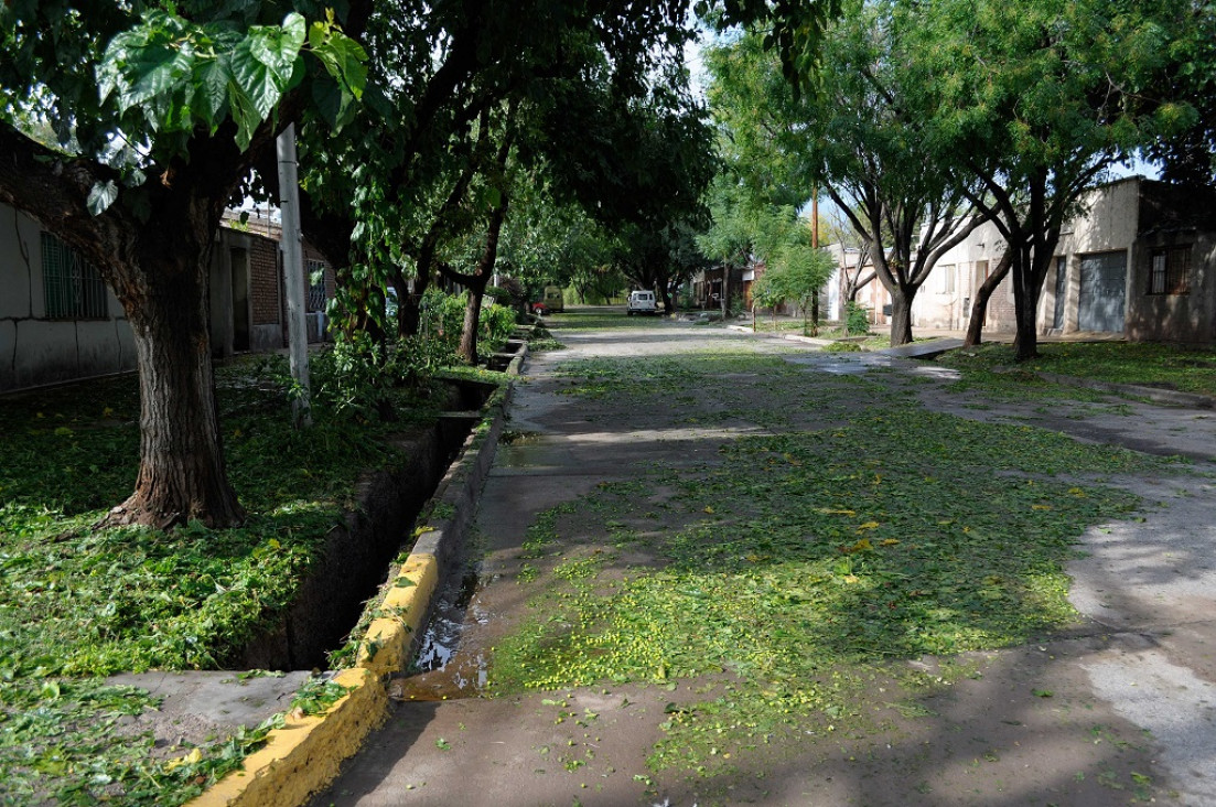 imagen La fuerte tormenta dejó casas inundadas, árboles caídos y cortes de luz