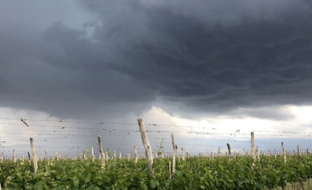 imagen Viviendas inundadas y calles anegadas, entre los saldos de la fuerte tormenta del domingo