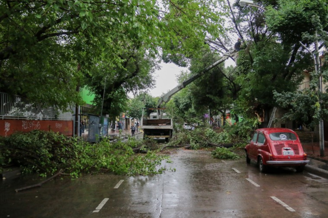imagen Unas 40 viviendas fueron afectadas por la tormenta de anoche