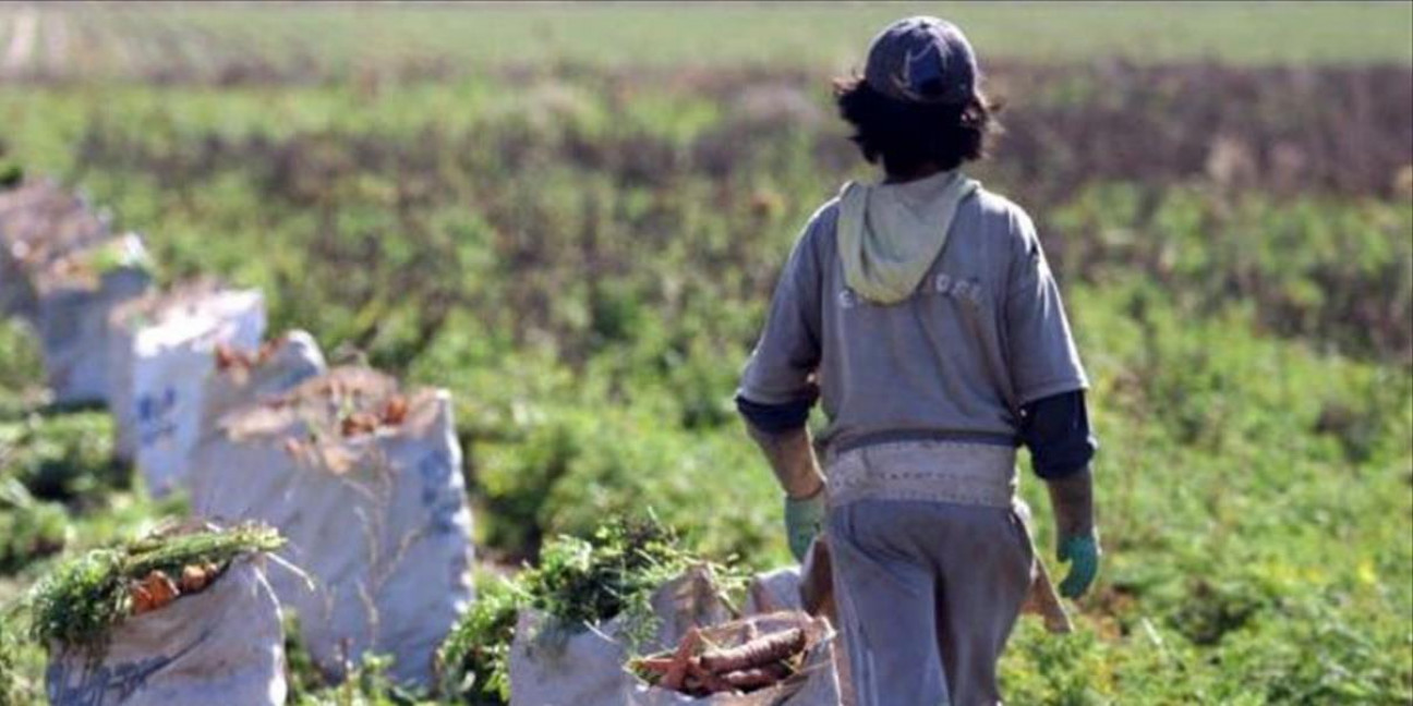 imagen "Libre de trabajo infantil", una certificación necesaria