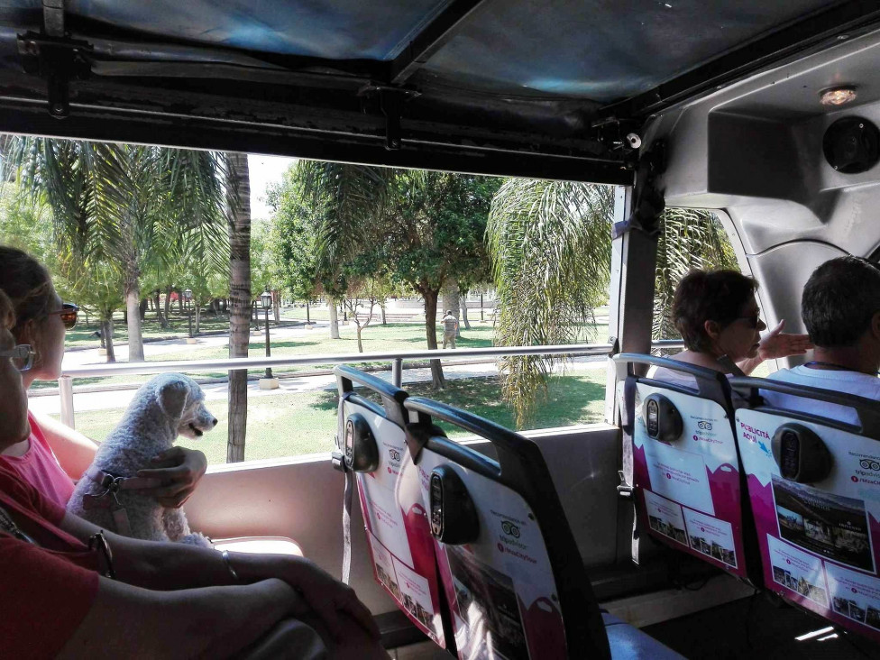 imagen City Tour por la Ciudad: una aventura descapotable