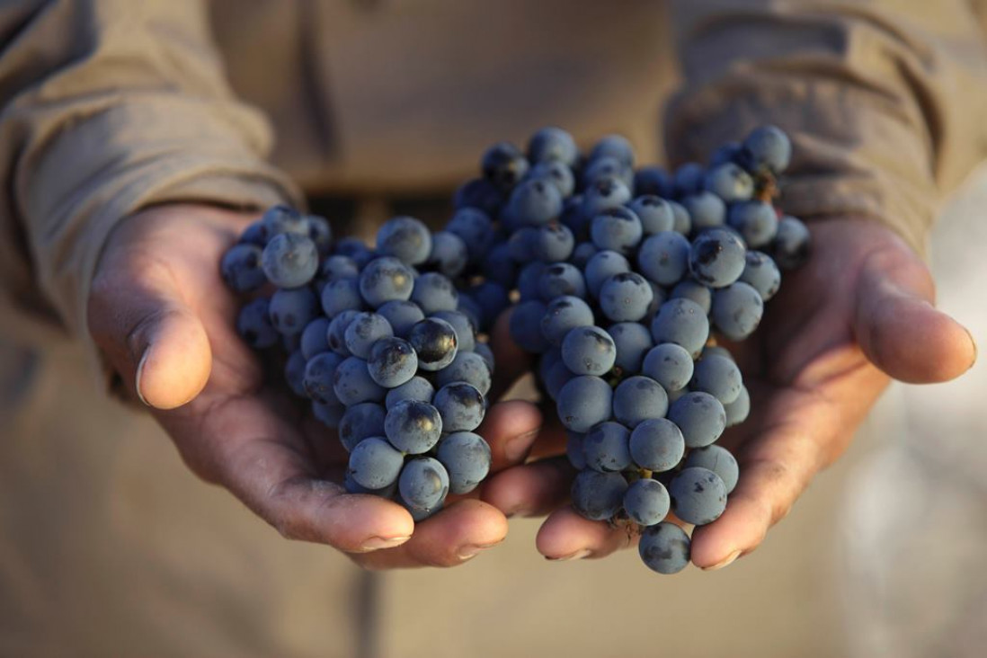 imagen El "otro campo"