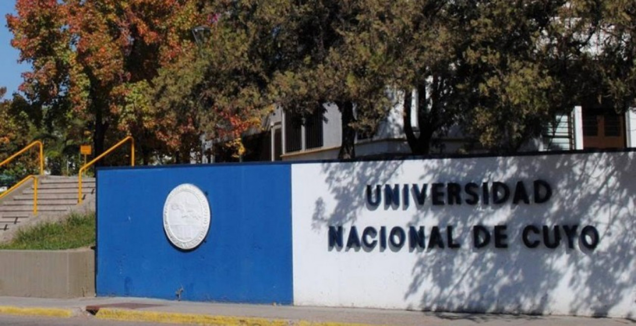 imagen Los docentes universitarios harán un nuevo paro