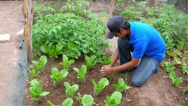 imagen Seguridad alimentaria
