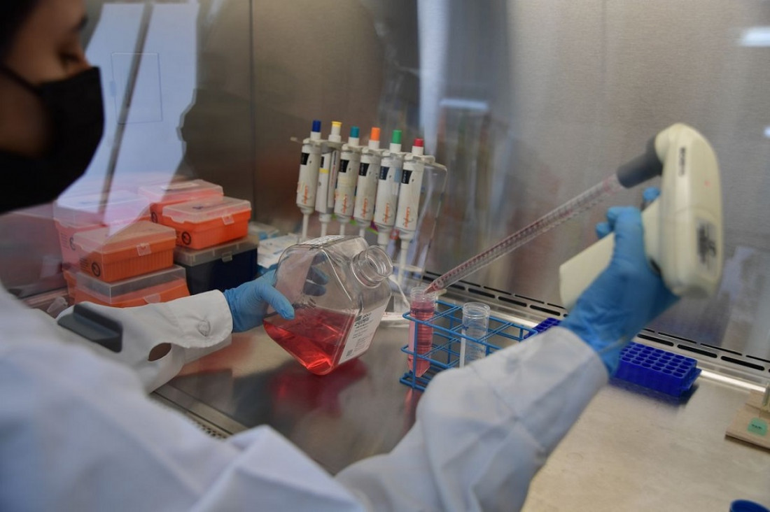 imagen Equipos científicos de Conicet trabajan en la cura del cáncer a través de una vacuna e inmunoterapia