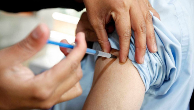 imagen Se registró el primer caso de fiebre amarilla en el país