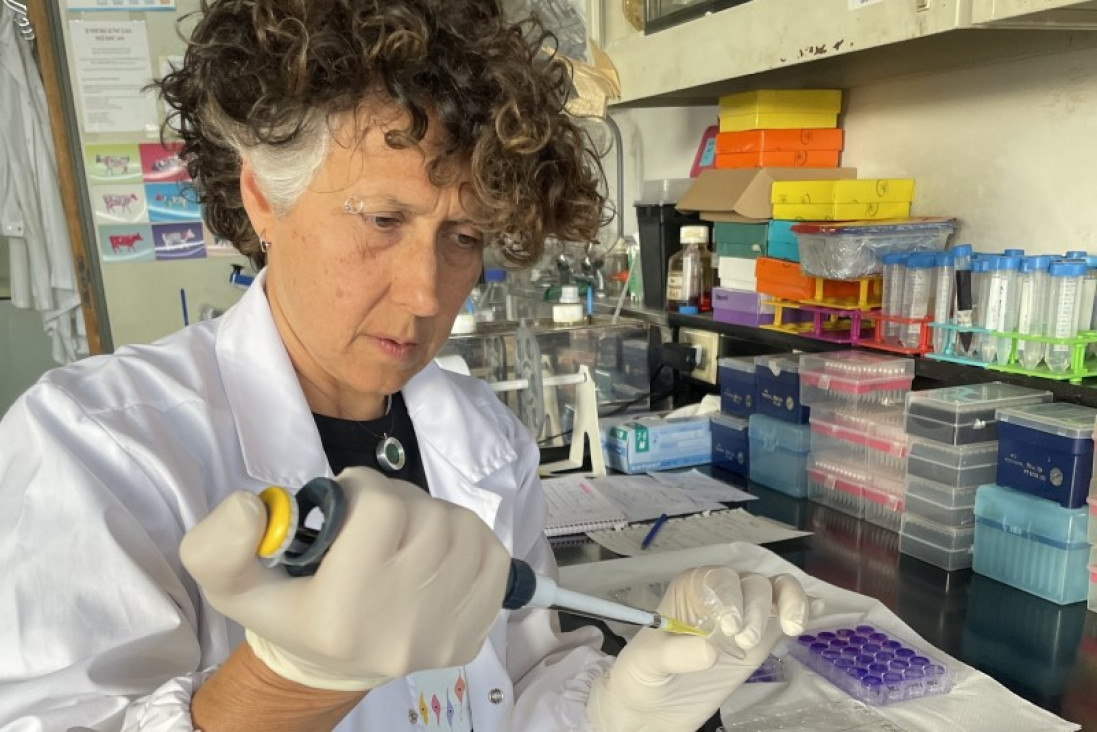 imagen Científicos y científicas de Argentina avanzan en la formulación de vacunas de nueva generación