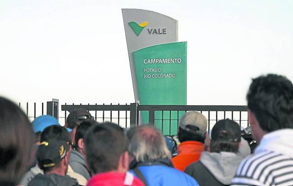 imagen Aseguran potasio aun sin Vale