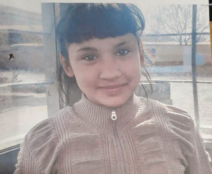 imagen Buscan a una chica que desapareció en Las Heras