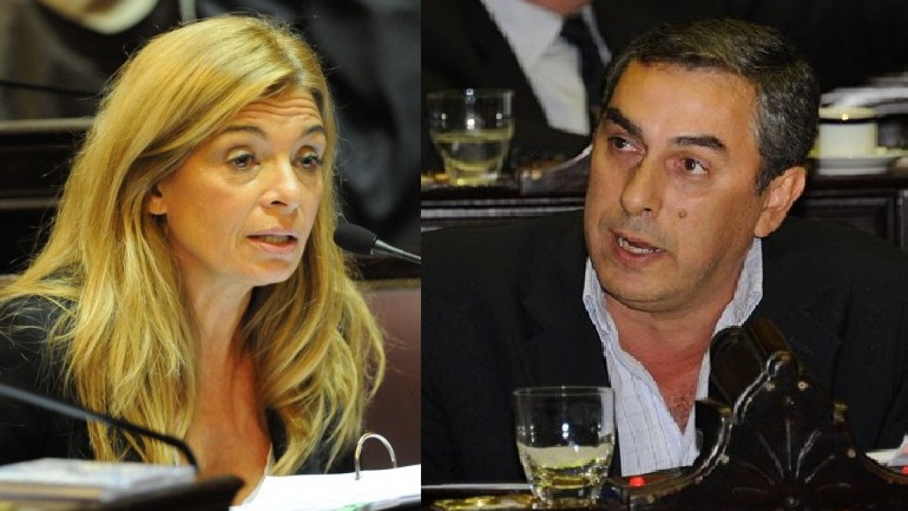 imagen Dos mendocinos en la bicameral que investigará la deuda externa