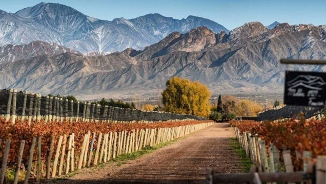 imagen Aportes patronales: "Será un antes y un después para el agro mendocino"