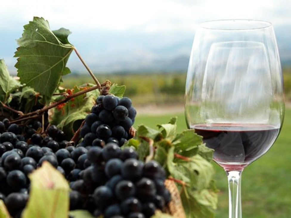 imagen Malestar en Tucumán porque eligieron vino mendocino