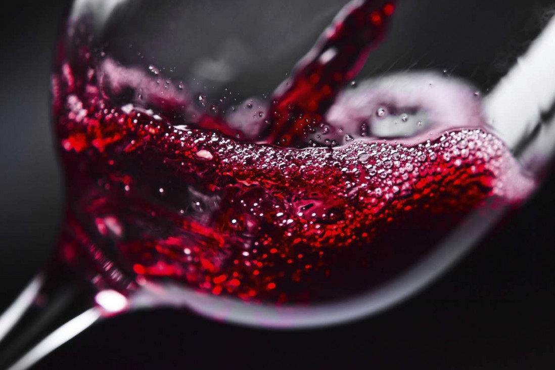 imagen Al pan, pan, y al vino, ciencia