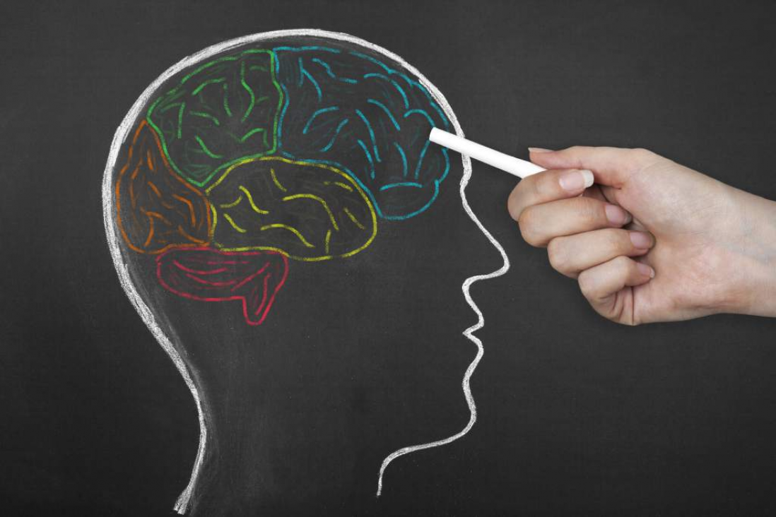 imagen El súper cerebro de los bilingües