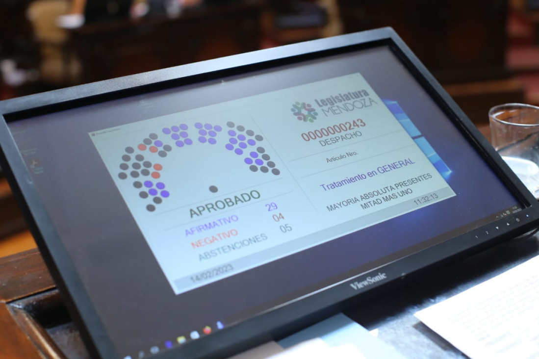 imagen El Senado aprobó la Declaración de Impacto Ambiental para explorar Cerro Amarillo