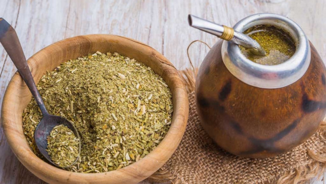 imagen Premian a un rosarino por estudiar los efectos de la yerba mate